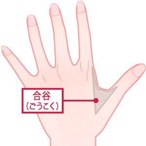 生理痛に効果的なツボ「合谷」の位置